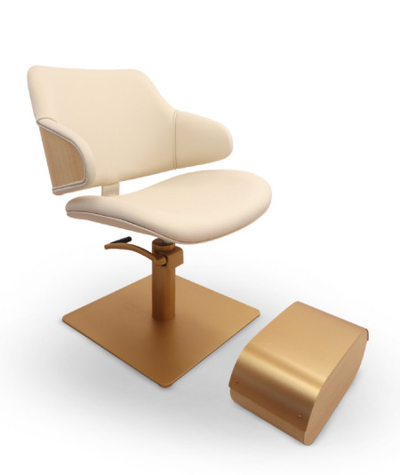 Cadeira Hidráulica De Cabeleireiro Wing Diamond │ Brudine