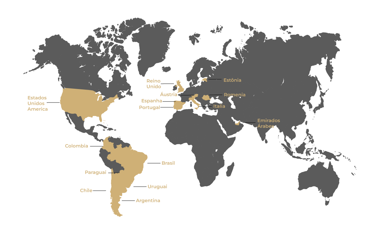Mapa com países em que a Brudine já exportou seus produtos: Estados Unidos, Colômbia, Paraguai, Chile, Uruguai, Argentina, Reino Unido, Austria, Espanha, Portugal, Itália, Romênia, Estônia, Emirados Arabes Unidos.